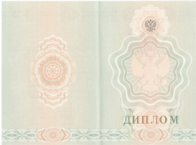 Купить Диплом о начальном образовании  2007-2009 годов в Томске