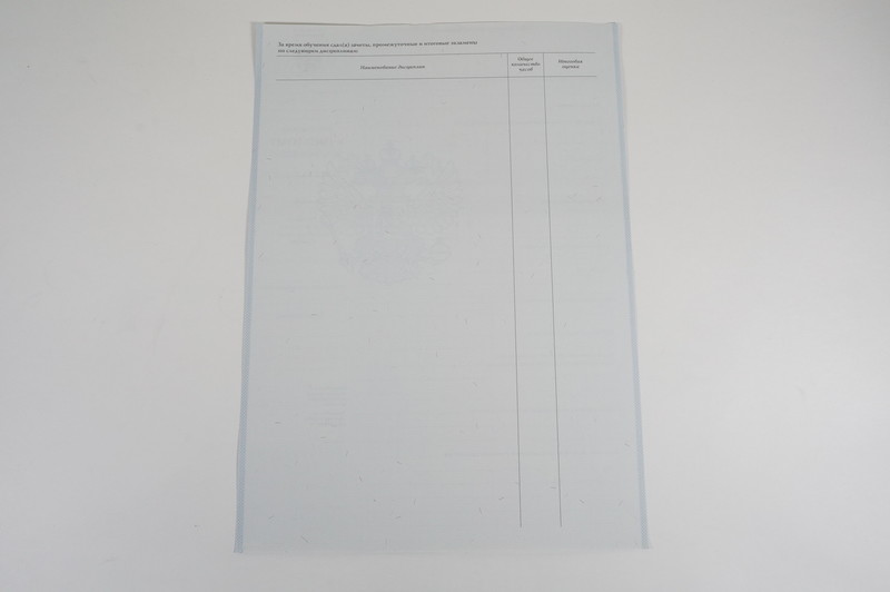 Диплом о начальном образовании  2007-2009 годов в Томске