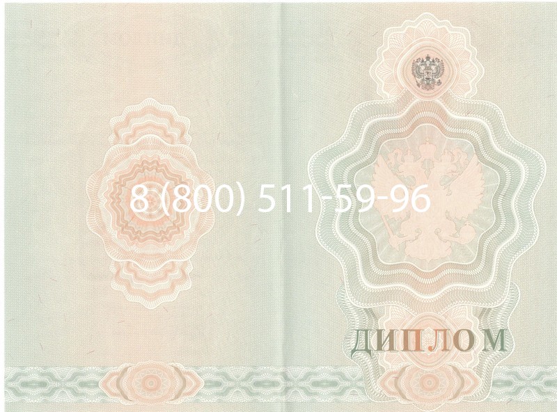 Купить Диплом ПТУ 2007-2010 годов в Томске